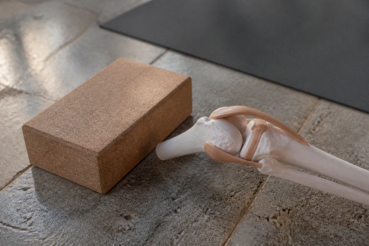 Yoga et articulations : quelle pratique selon vos douleurs ?